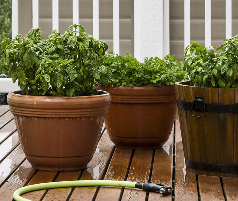 Spruce Up Your Homestead with a Deck Garden!