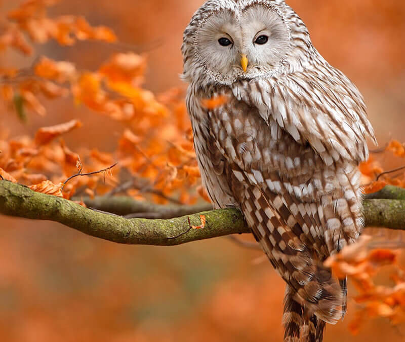 50 Bible Verses About Wisdom