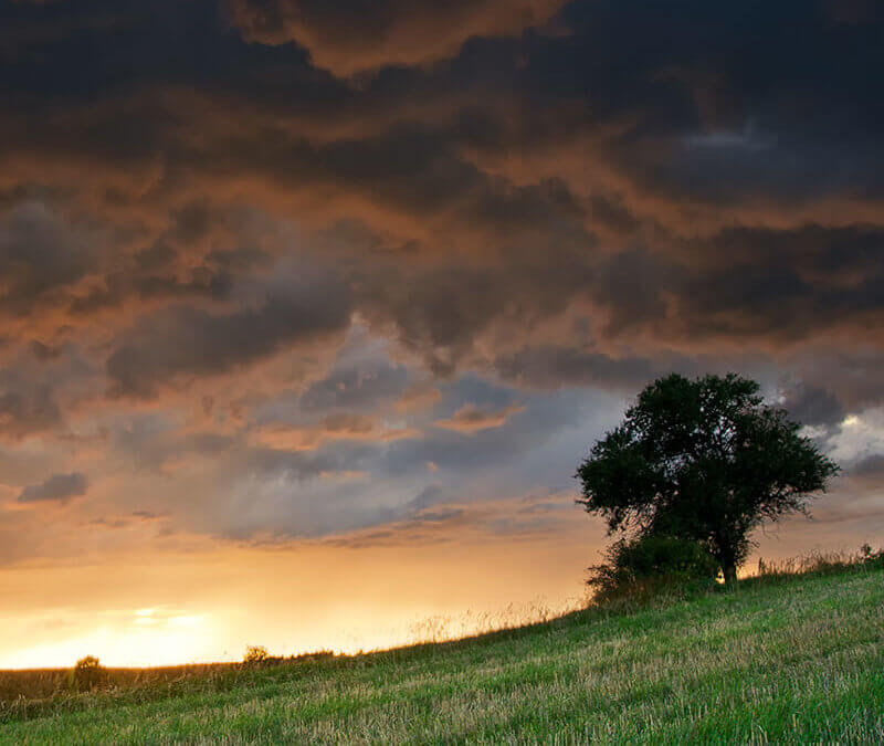 Expect the Unexpected During the Storms of Life