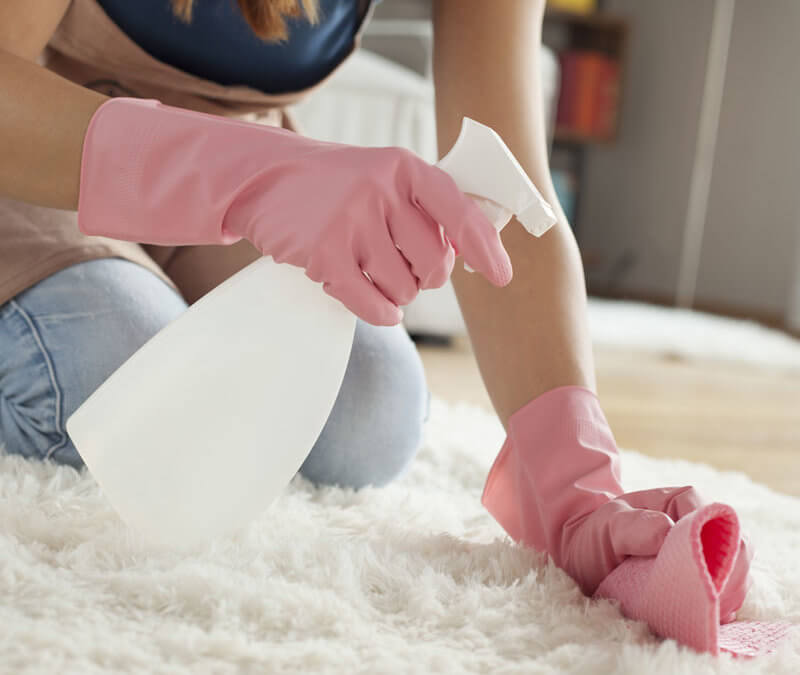 Homemade Carpet Spot Cleaner for a Naturally Clean Home