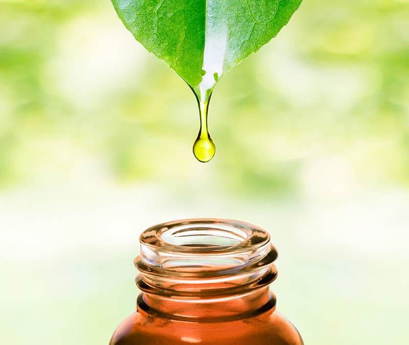 Dispersing and Diluting Essential Oils for Household Use