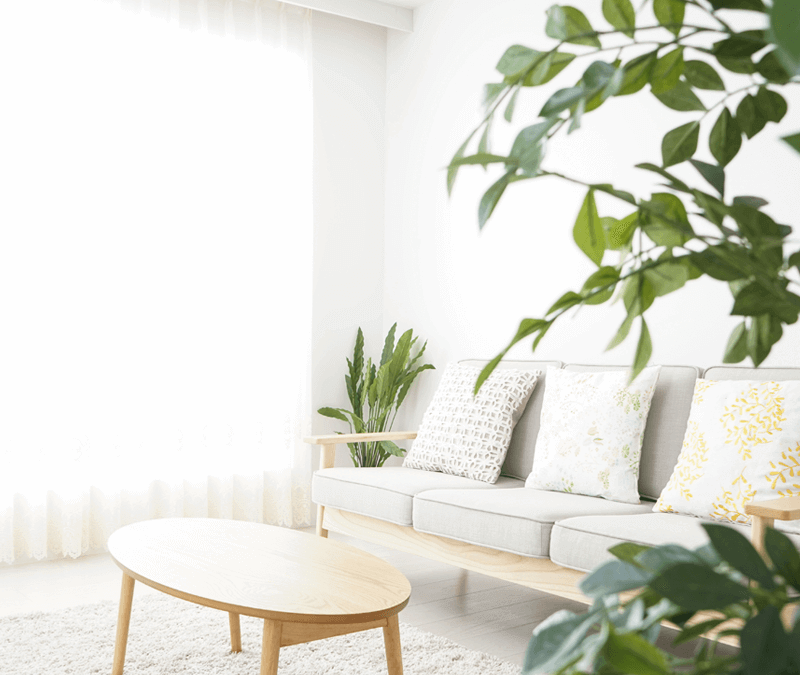 Air Doctor Pro Review – Why We Think It’s the Best Home Air Filter