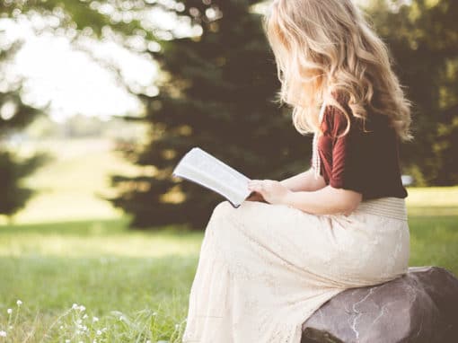 Daily Bible Devotions: A 31-Day Journey Through The Book of Proverbs