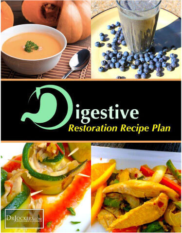Heal Your Gut Summit The Digestive Health Recipe Plan