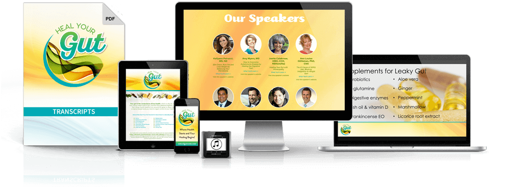 Heal Your Gut Speaker 3D image