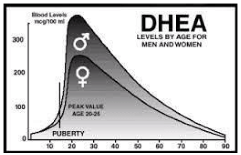 Natural decline of DHEA