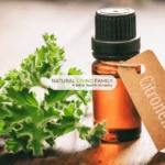 Citronella Essential Oil – Bug Solution, Healing Benefits & More
