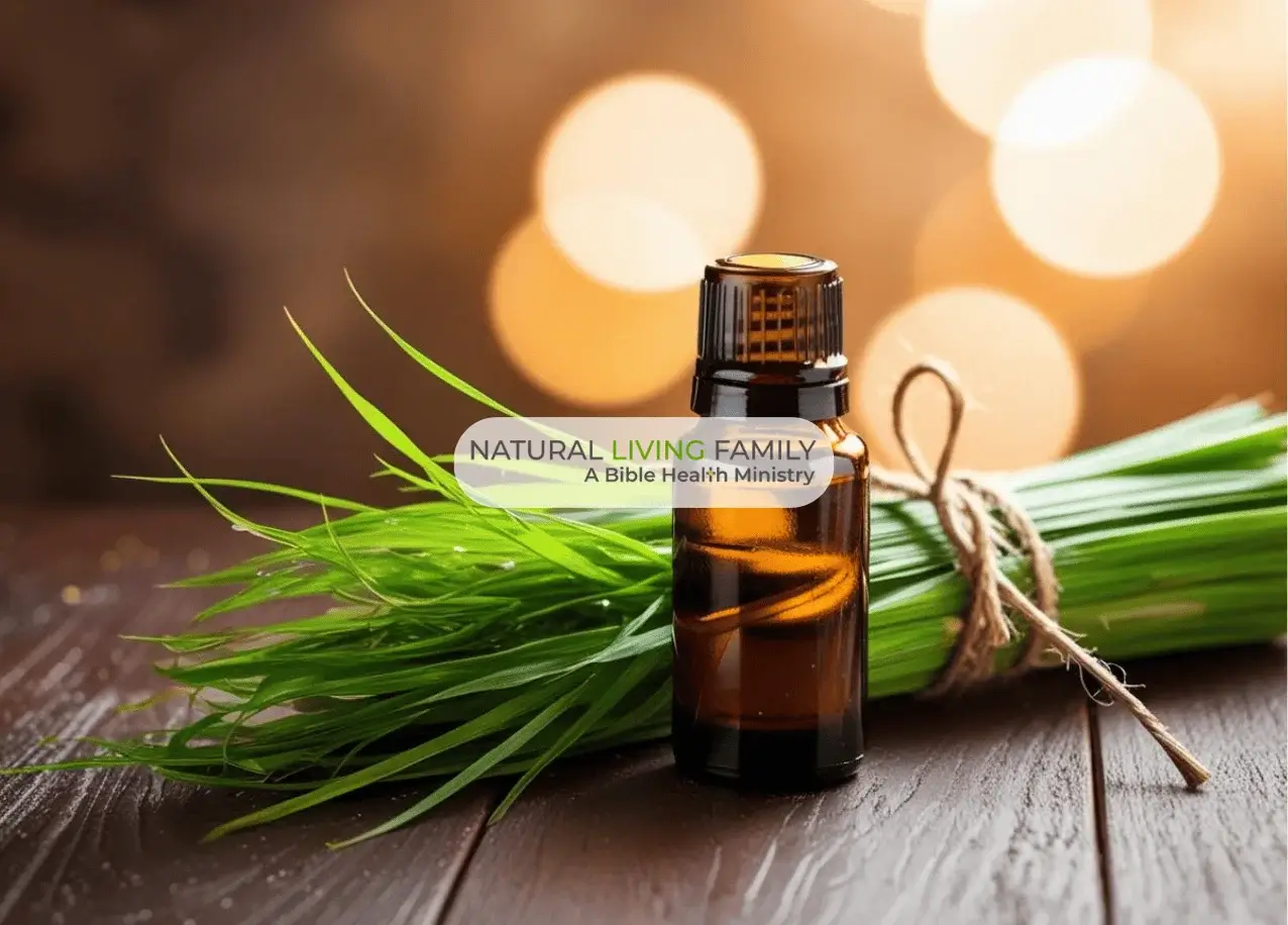 Citronella Essential Oil – Bug Solution, Healing Benefits & More