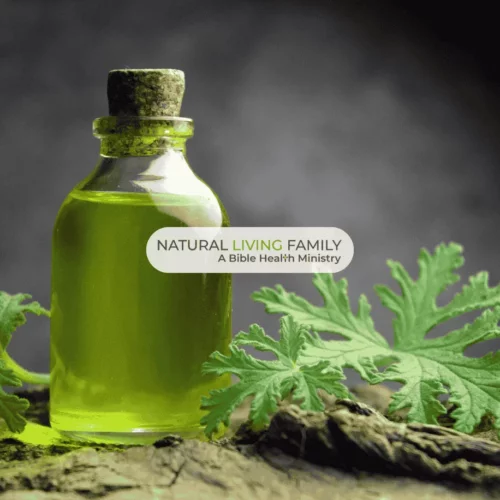 Essential Oils for Bug Bites: Relief for Itchy Skin