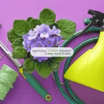 Gardener's Essential Oil Bug Spray