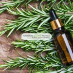 How to Improve Gut Health Naturally with Digestive Essential Oils