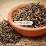 Caraway Essential Oil A Digestive Powerhouse for Gut Health Featured Image