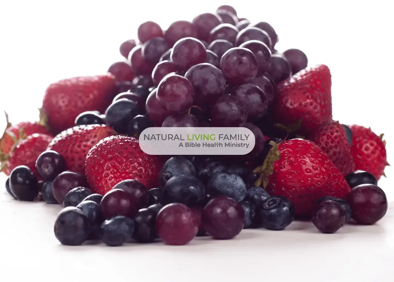 Can Oxidative Stress be Reversed? Natural Antioxidant Sources