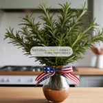 Healthy Food for Memorial Day - Simple Menu Plan for Entertaining