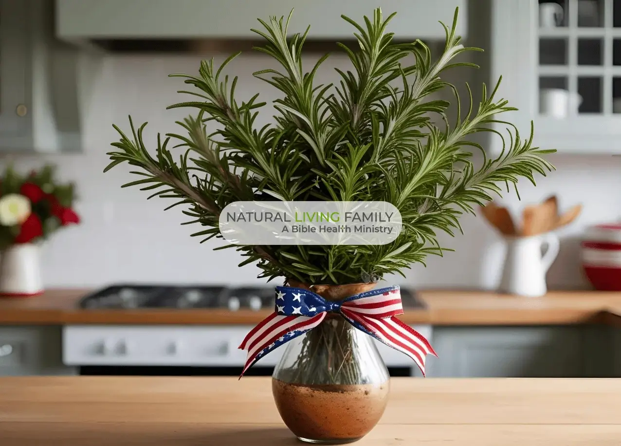 Healthy Food for Memorial Day - Simple Menu Plan for Entertaining