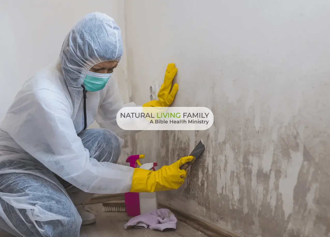 How to Detox Your Body from Mold Naturally